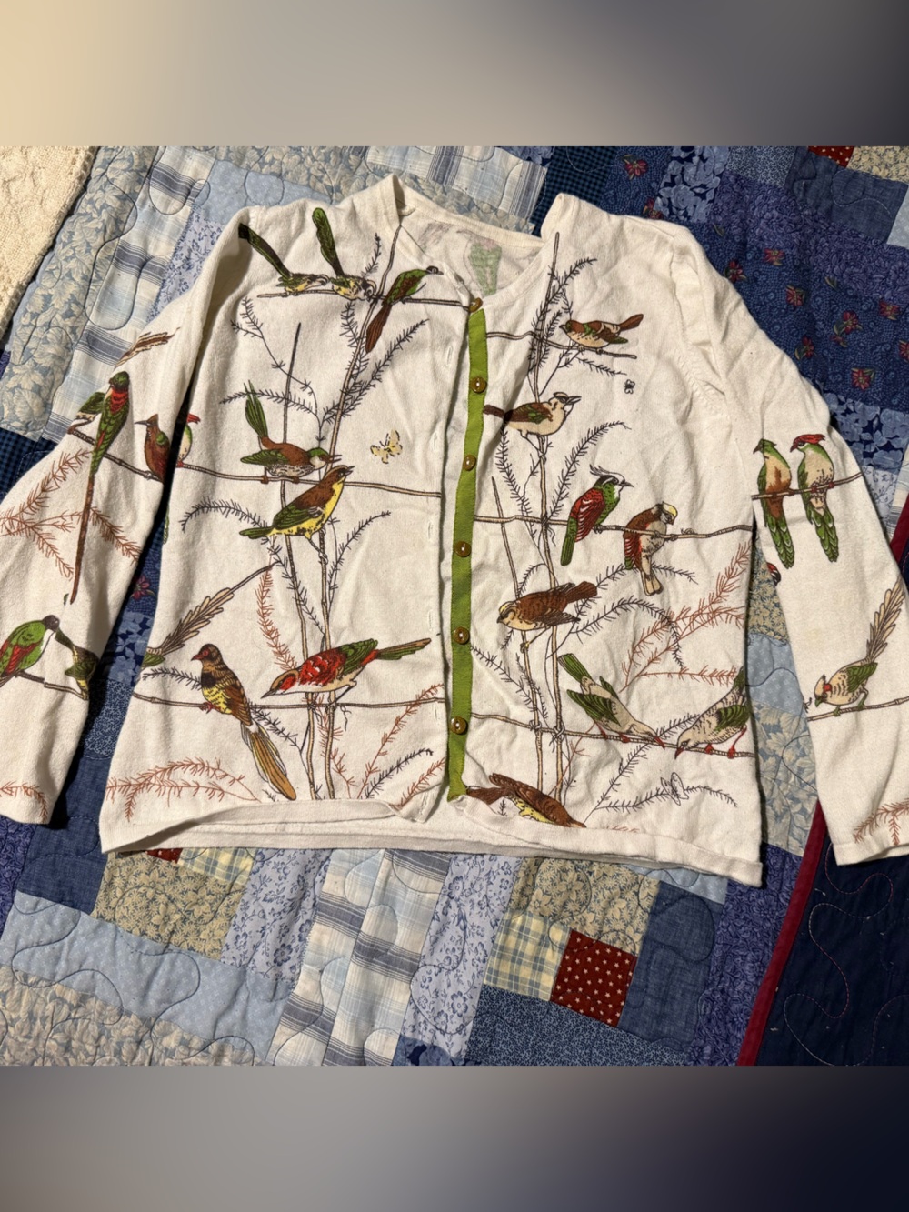 Bird Print Button-Front Cardigan in Cream and Green